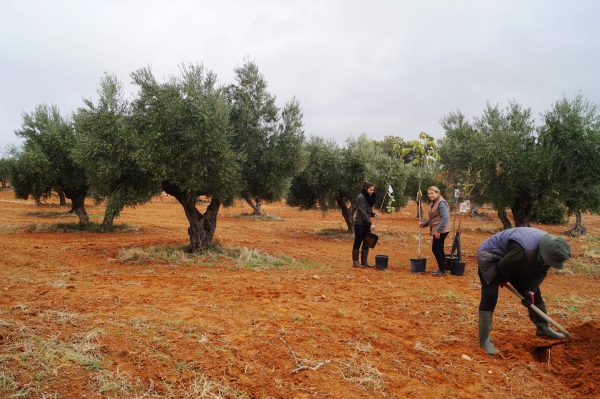 Día Internacional Contra el Cambio Climático
